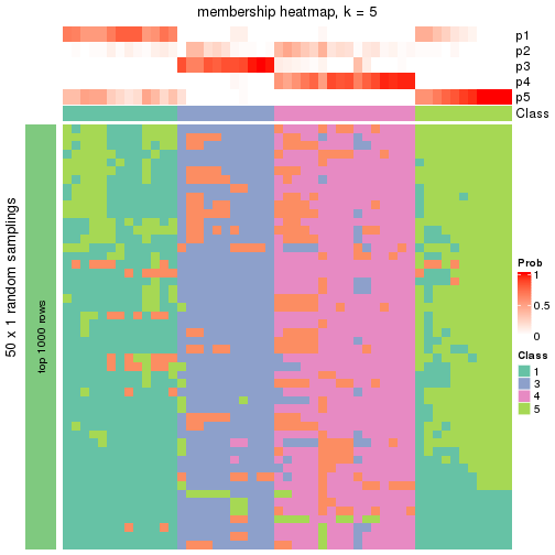 plot of chunk tab-node-01-membership-heatmap-4