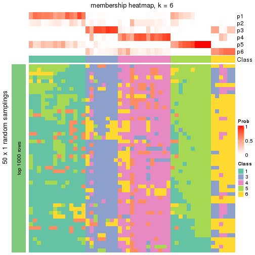 plot of chunk tab-node-01-membership-heatmap-5