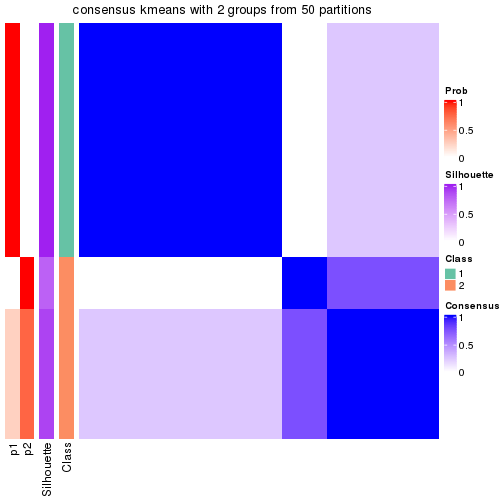 plot of chunk tab-node-012-consensus-heatmap-1