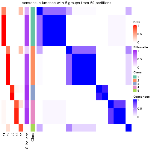 plot of chunk tab-node-012-consensus-heatmap-4