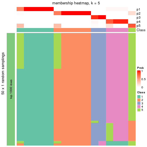 plot of chunk tab-node-012-membership-heatmap-4