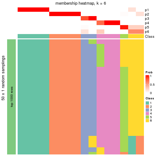 plot of chunk tab-node-012-membership-heatmap-5