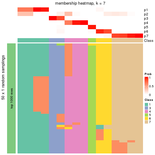 plot of chunk tab-node-012-membership-heatmap-6