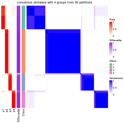 plot of chunk tab-node-02-consensus-heatmap-3