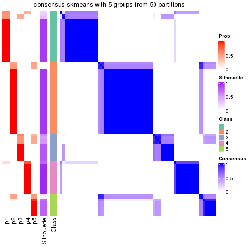 plot of chunk tab-node-02-consensus-heatmap-4