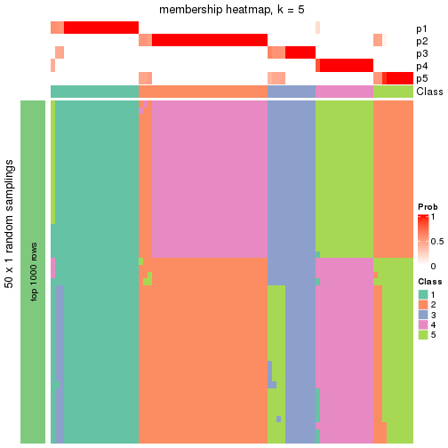 plot of chunk tab-node-02-membership-heatmap-4