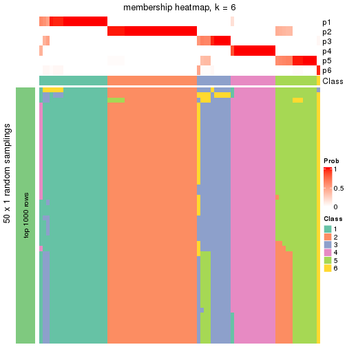 plot of chunk tab-node-02-membership-heatmap-5