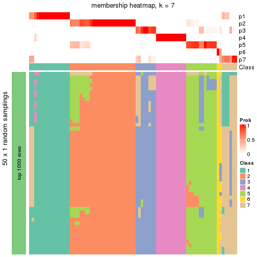 plot of chunk tab-node-02-membership-heatmap-6