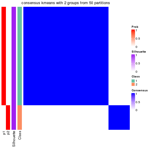 plot of chunk tab-node-022-consensus-heatmap-1