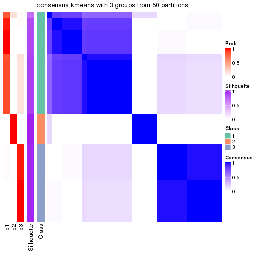 plot of chunk tab-node-022-consensus-heatmap-2