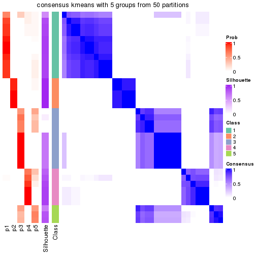 plot of chunk tab-node-022-consensus-heatmap-4