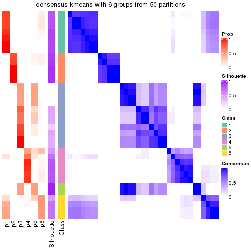 plot of chunk tab-node-022-consensus-heatmap-5