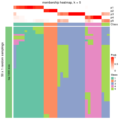 plot of chunk tab-node-022-membership-heatmap-4