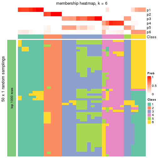 plot of chunk tab-node-022-membership-heatmap-5