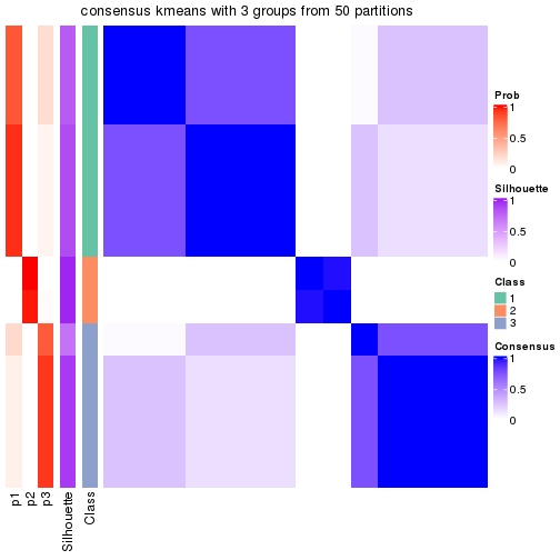 plot of chunk tab-node-023-consensus-heatmap-2