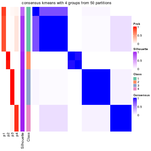 plot of chunk tab-node-023-consensus-heatmap-3