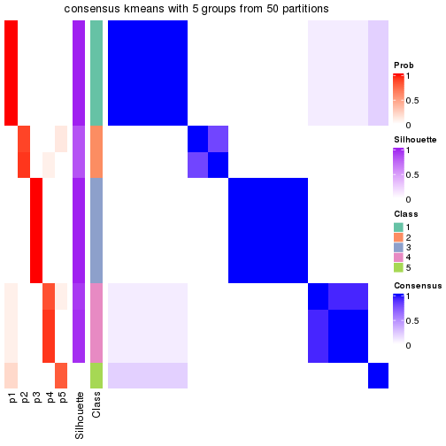 plot of chunk tab-node-023-consensus-heatmap-4