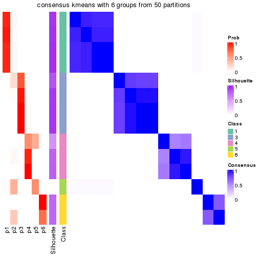 plot of chunk tab-node-023-consensus-heatmap-5