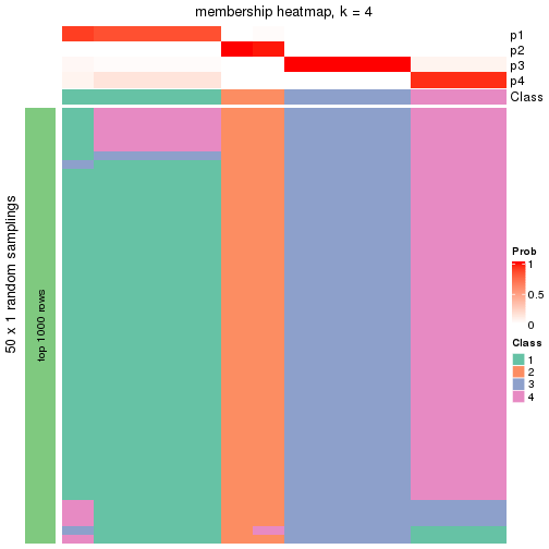 plot of chunk tab-node-023-membership-heatmap-3