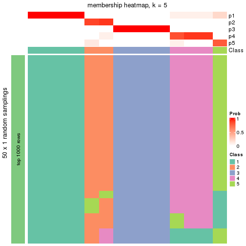 plot of chunk tab-node-023-membership-heatmap-4