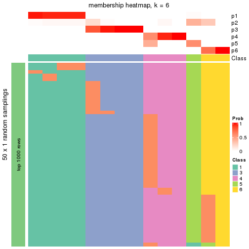 plot of chunk tab-node-023-membership-heatmap-5