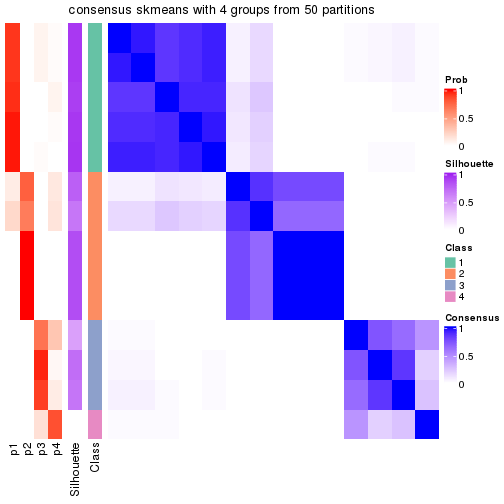 plot of chunk tab-node-024-consensus-heatmap-3