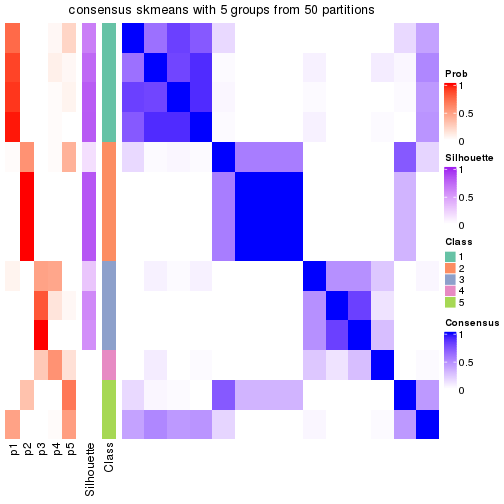 plot of chunk tab-node-024-consensus-heatmap-4