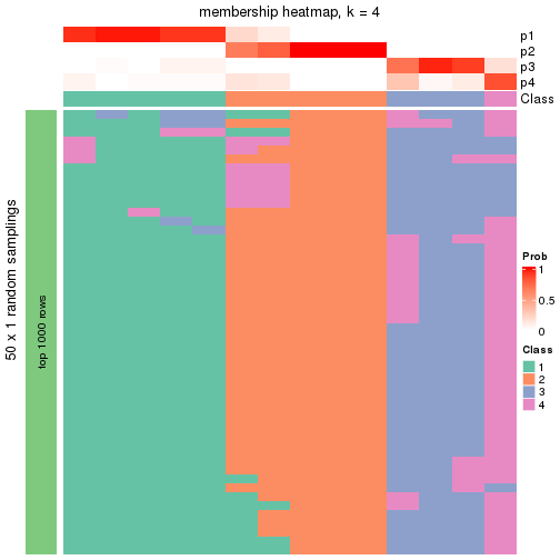 plot of chunk tab-node-024-membership-heatmap-3