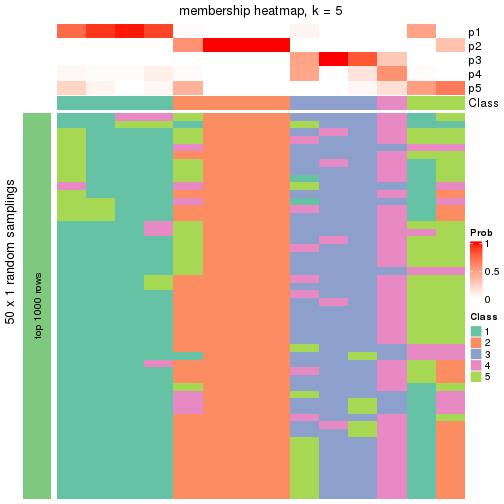 plot of chunk tab-node-024-membership-heatmap-4