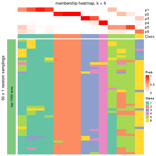 plot of chunk tab-node-024-membership-heatmap-5