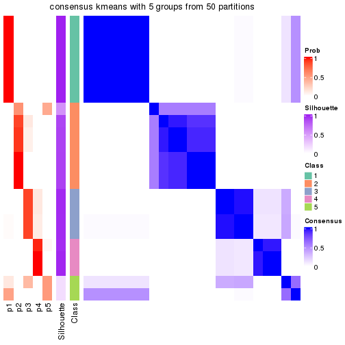 plot of chunk tab-node-03-consensus-heatmap-4