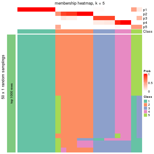 plot of chunk tab-node-03-membership-heatmap-4