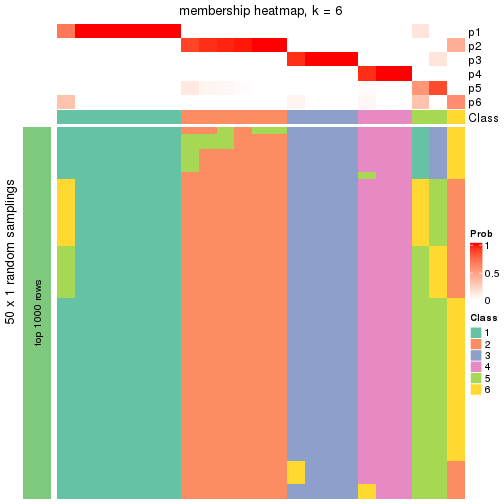 plot of chunk tab-node-03-membership-heatmap-5