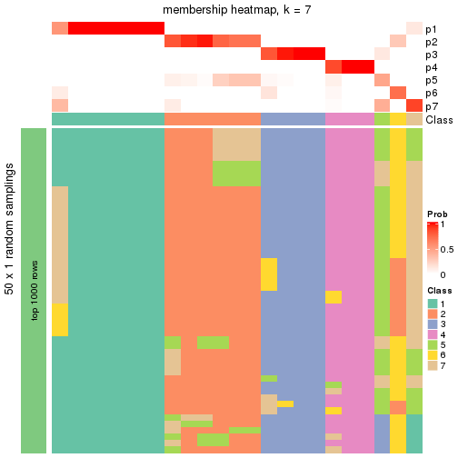 plot of chunk tab-node-03-membership-heatmap-6