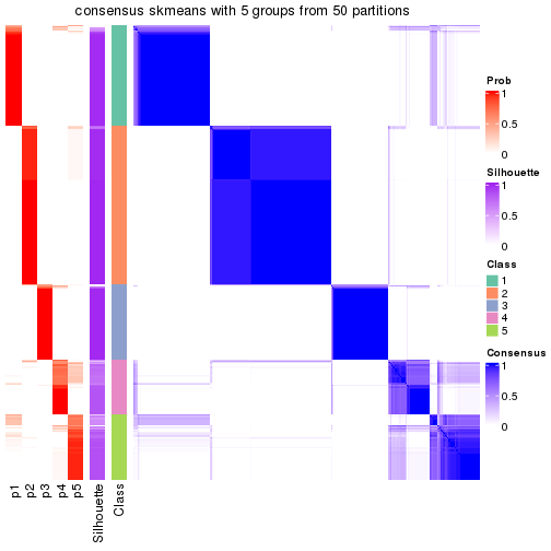 plot of chunk tab-node-0-consensus-heatmap-4