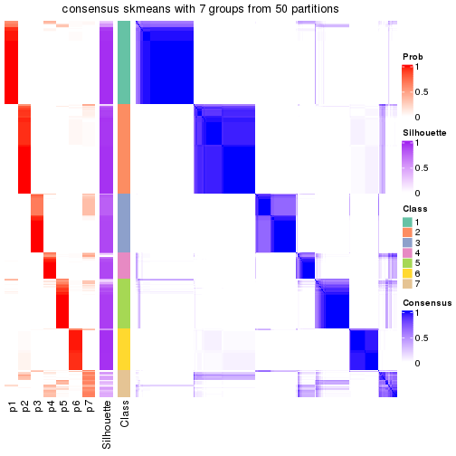 plot of chunk tab-node-0-consensus-heatmap-6