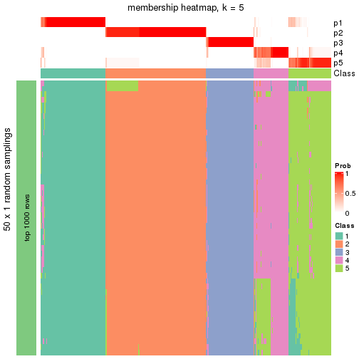 plot of chunk tab-node-0-membership-heatmap-4