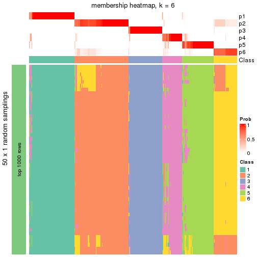 plot of chunk tab-node-0-membership-heatmap-5