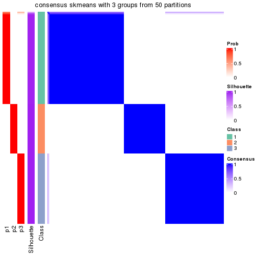 plot of chunk tab-node-01-consensus-heatmap-2