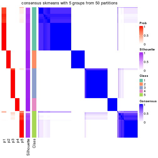 plot of chunk tab-node-01-consensus-heatmap-4