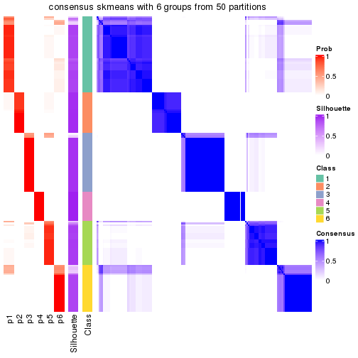 plot of chunk tab-node-01-consensus-heatmap-5