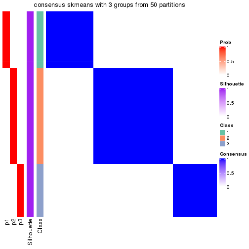 plot of chunk tab-node-011-consensus-heatmap-2