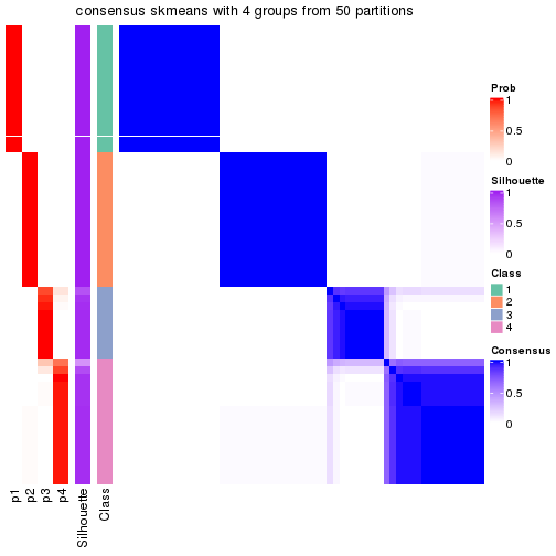 plot of chunk tab-node-011-consensus-heatmap-3