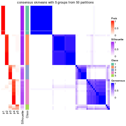 plot of chunk tab-node-011-consensus-heatmap-4