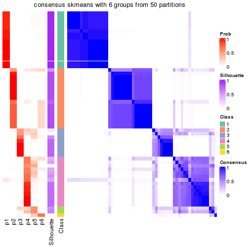 plot of chunk tab-node-011-consensus-heatmap-5