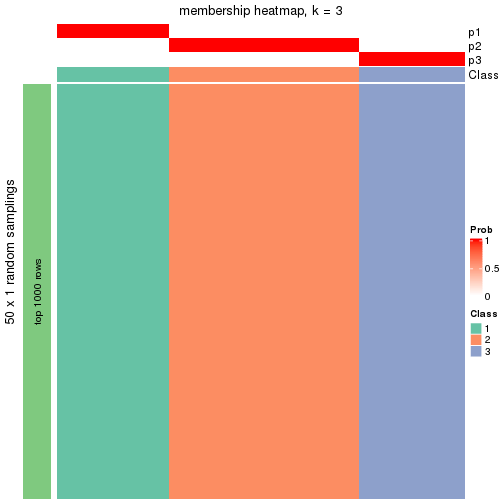 plot of chunk tab-node-011-membership-heatmap-2