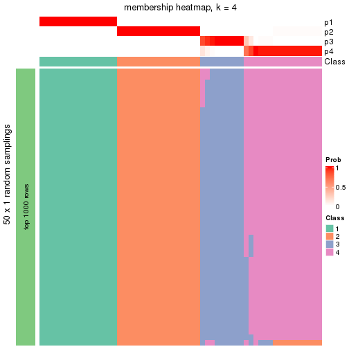 plot of chunk tab-node-011-membership-heatmap-3