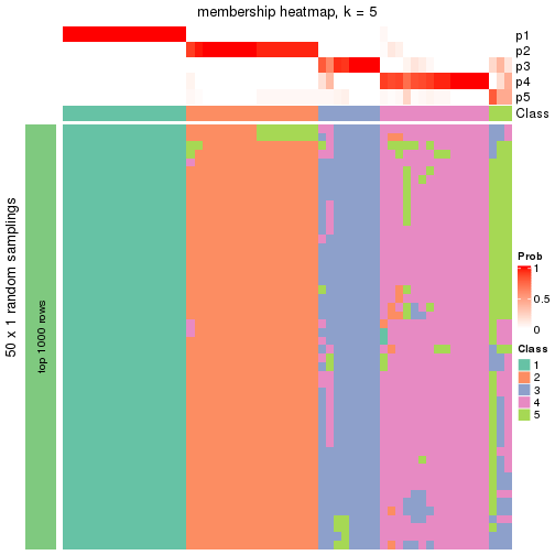 plot of chunk tab-node-011-membership-heatmap-4