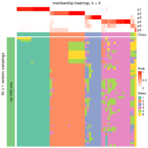 plot of chunk tab-node-011-membership-heatmap-5