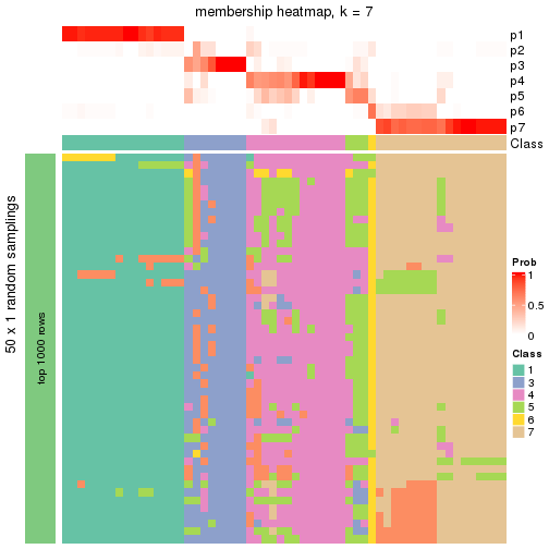 plot of chunk tab-node-011-membership-heatmap-6